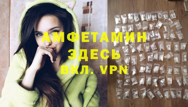 тгк Магас