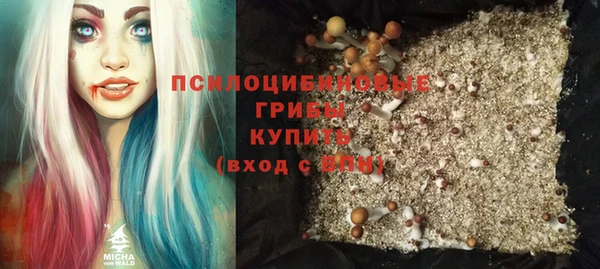 крисы Магадан