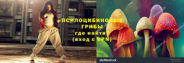 крисы Магадан
