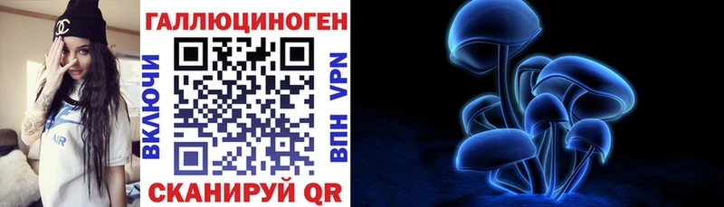 Галлюциногенные грибы MAGIC MUSHROOMS Каменногорск