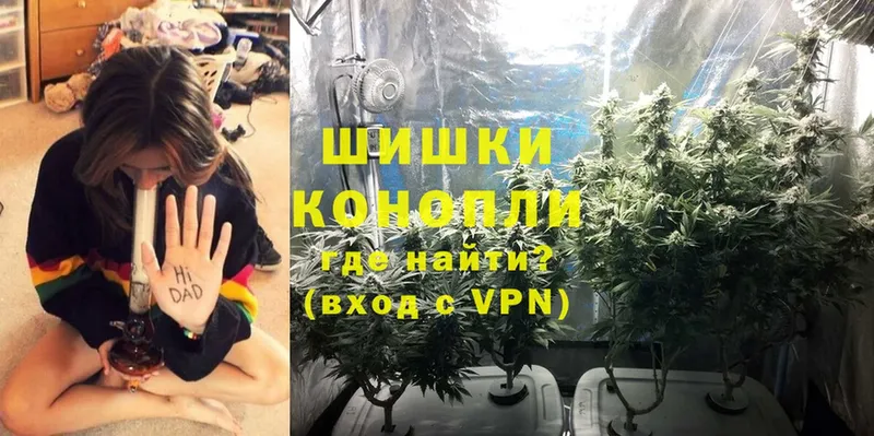 это наркотические препараты  закладки  Каменногорск  Бошки марихуана THC 21% 