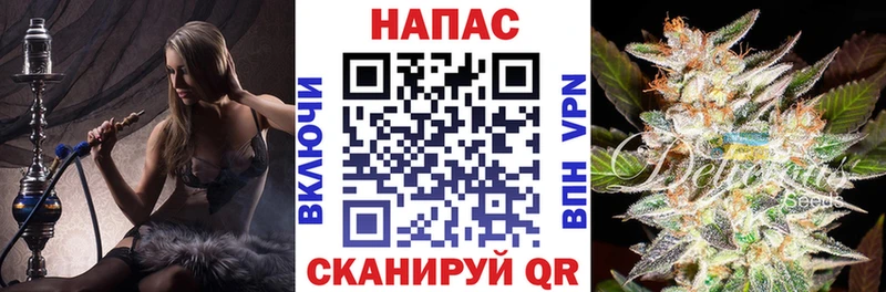 Шишки марихуана семена  даркнет сайт  Каменногорск 